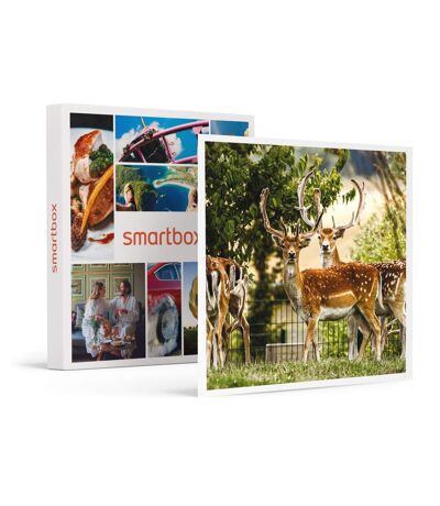 Tanière Zoo Refuge : immersion avec les herbivores pour 1 personne - SMARTBOX - Coffret Cadeau Multi-thèmes