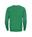 Printer Mens Forehand Knitted V Neck Sweatshirt (Fresh Green)