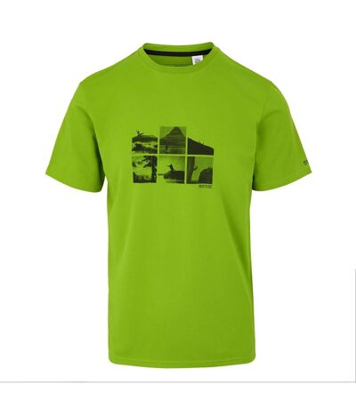 T-shirt fingal homme vert clair Regatta