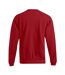 Sweat New Homme Rouge Feu Promodoro-2