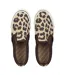 Womens/ladies Leopard Print Canvas Slip-on Trainers Brown SoulCal-3