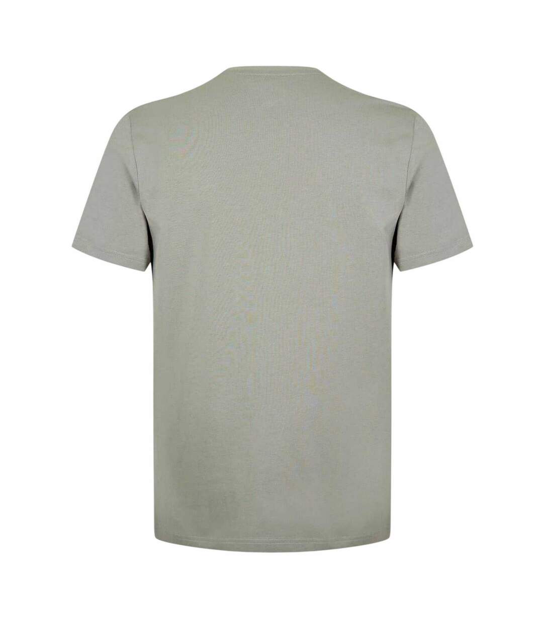 T-shirt Motif/style Logo Carnaby Homme Sauge Argenté Jack Wills-2