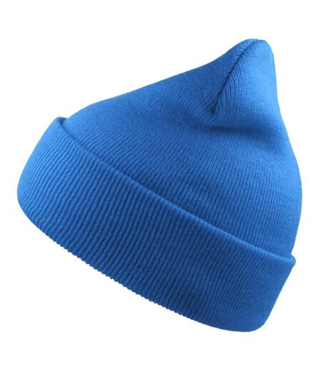 Unisex Adult Wind Recycled Cuffed Beanie Sapphire Atlantis
