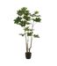 Plante Artificielle en Pot Pachira 157cm Vert-1