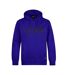 Sweat à capuche bleu roi homme o'neill cali-1