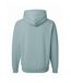 Unisex Adult Nublend Hoodie Sage Jerzees-2
