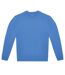 Sweat Id.222 Adulte Bleu Lac B&C-1