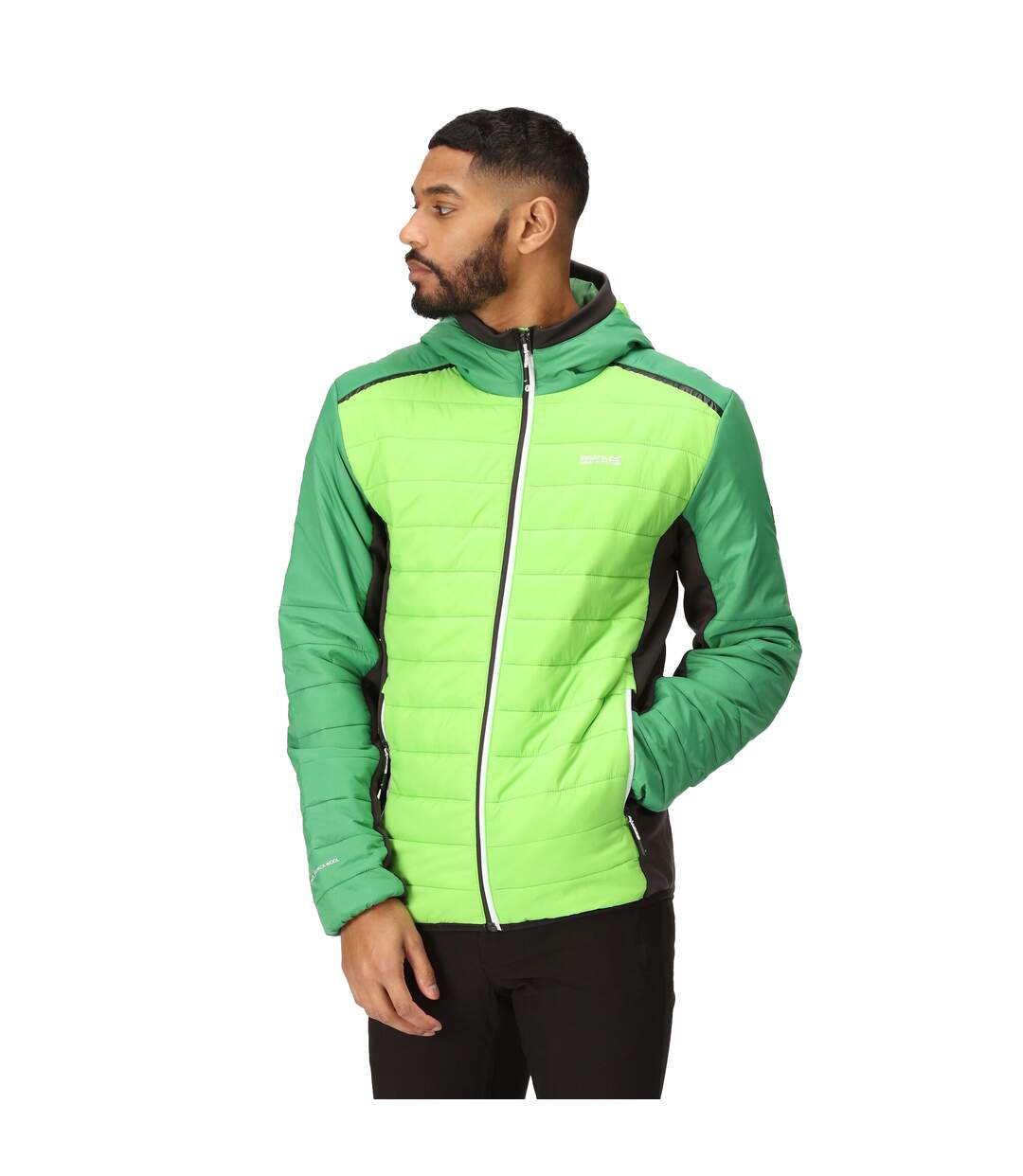 Doudoune Matelassée Trutton Homme Vert Jasmin Vert Des Champs Regatta-4