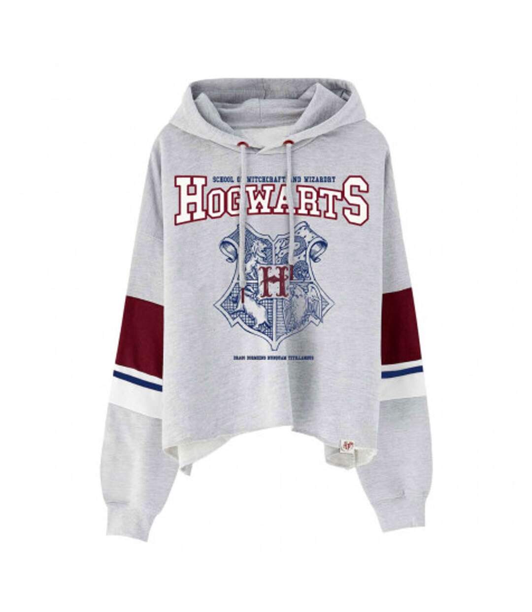 Sweat À Capuche Motif/style Emblème De Poudlard Femme Gris Harry Potter-2