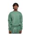 Sweat Homme Feuille Urban Classics-3