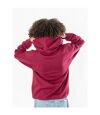 Harry Potter Unisex Adult Deluxe Gryffindor Hoodie (Burgundy)