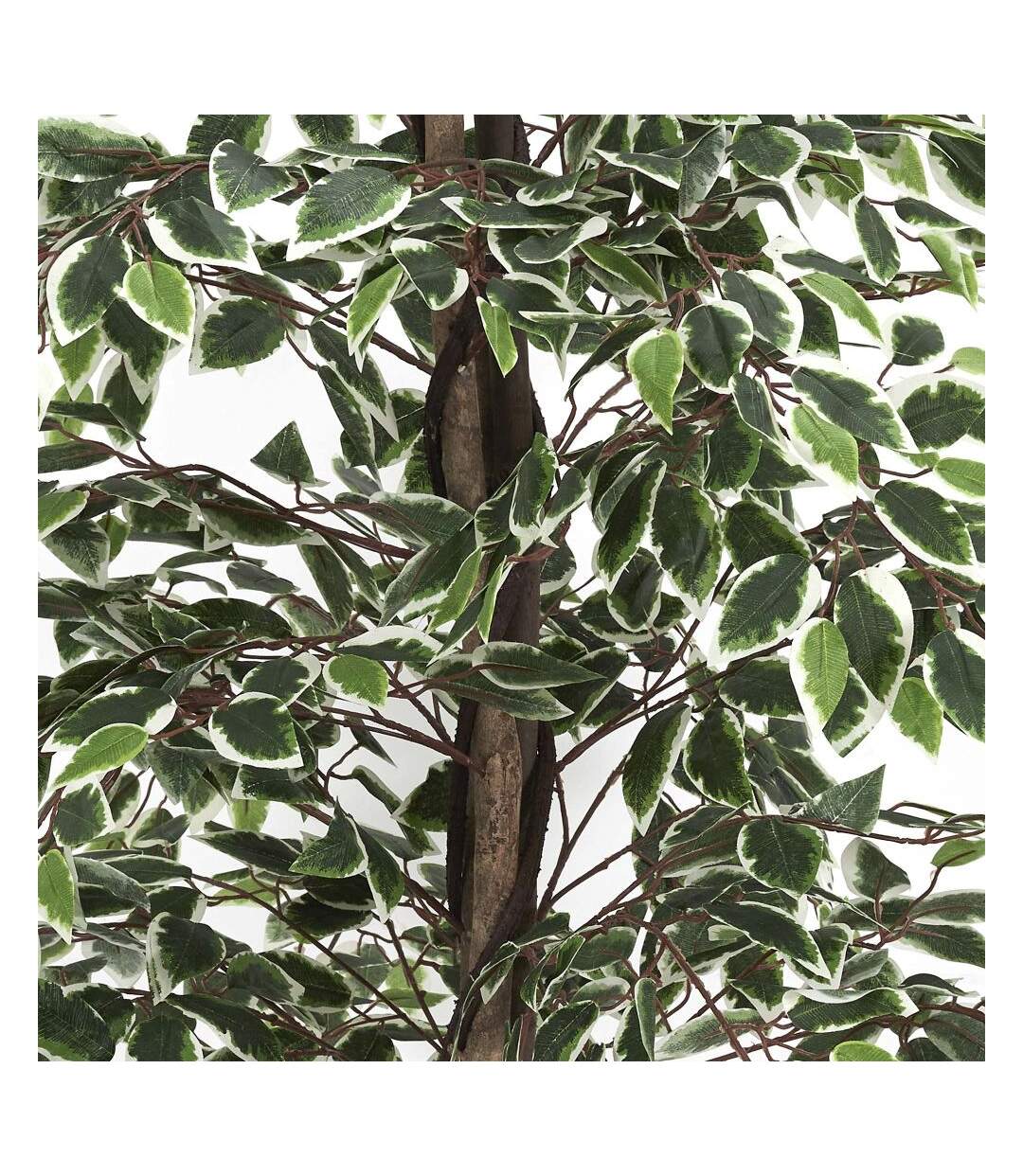 Plante artificielle feuillage panaché 160 cm-3