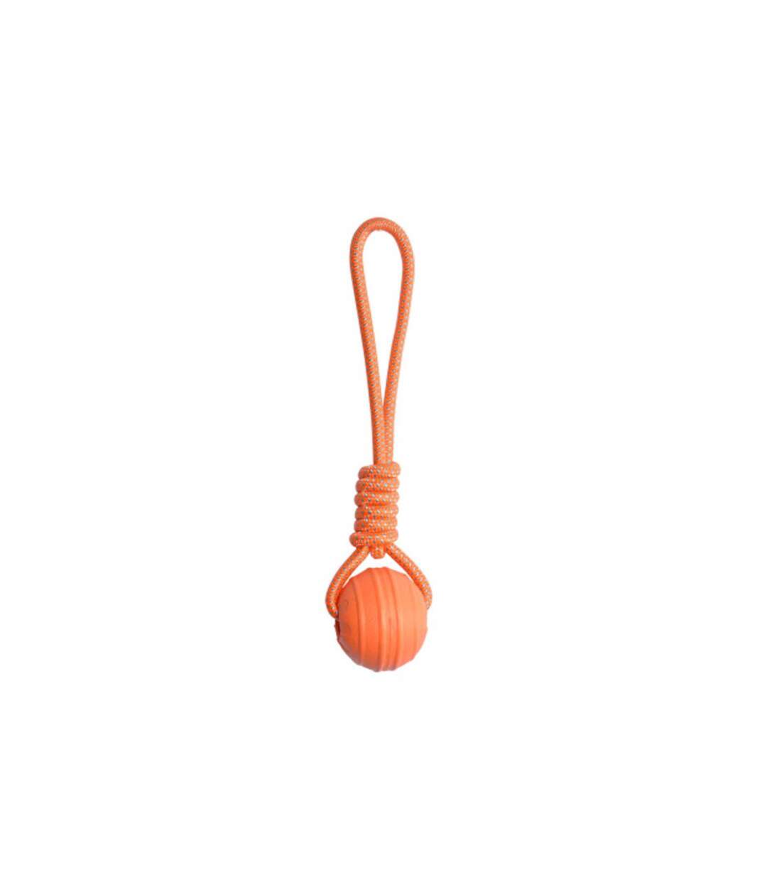 Jouet pour Chien Balle Fitness Eva 33cm Orange-1