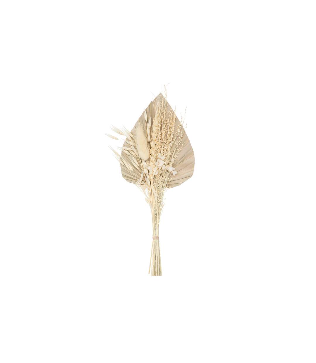 Mini Bouquet de Fleurs Naturelles Seav 30cm Beige-1