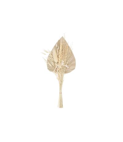 Mini Bouquet de Fleurs Naturelles Seav 30cm Beige