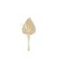 Mini Bouquet de Fleurs Naturelles Seav 30cm Beige-1