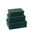 Lot de 3 Boîtes de Rangement Vaughn 36cm Vert-2