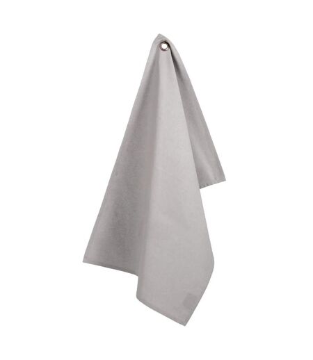 Lot de 2 Torchons de Cuisine Coton 70cm Gris Clair