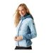 Veste Hybride Andreson Pro Femme Bleu Ciel Clair Bleu De Gris Regatta-1