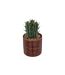 Plante Artificielle en Pot Déco Bota 14cm Marron