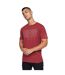 T-shirt helty homme rouge foncé Crosshatch Crosshatch