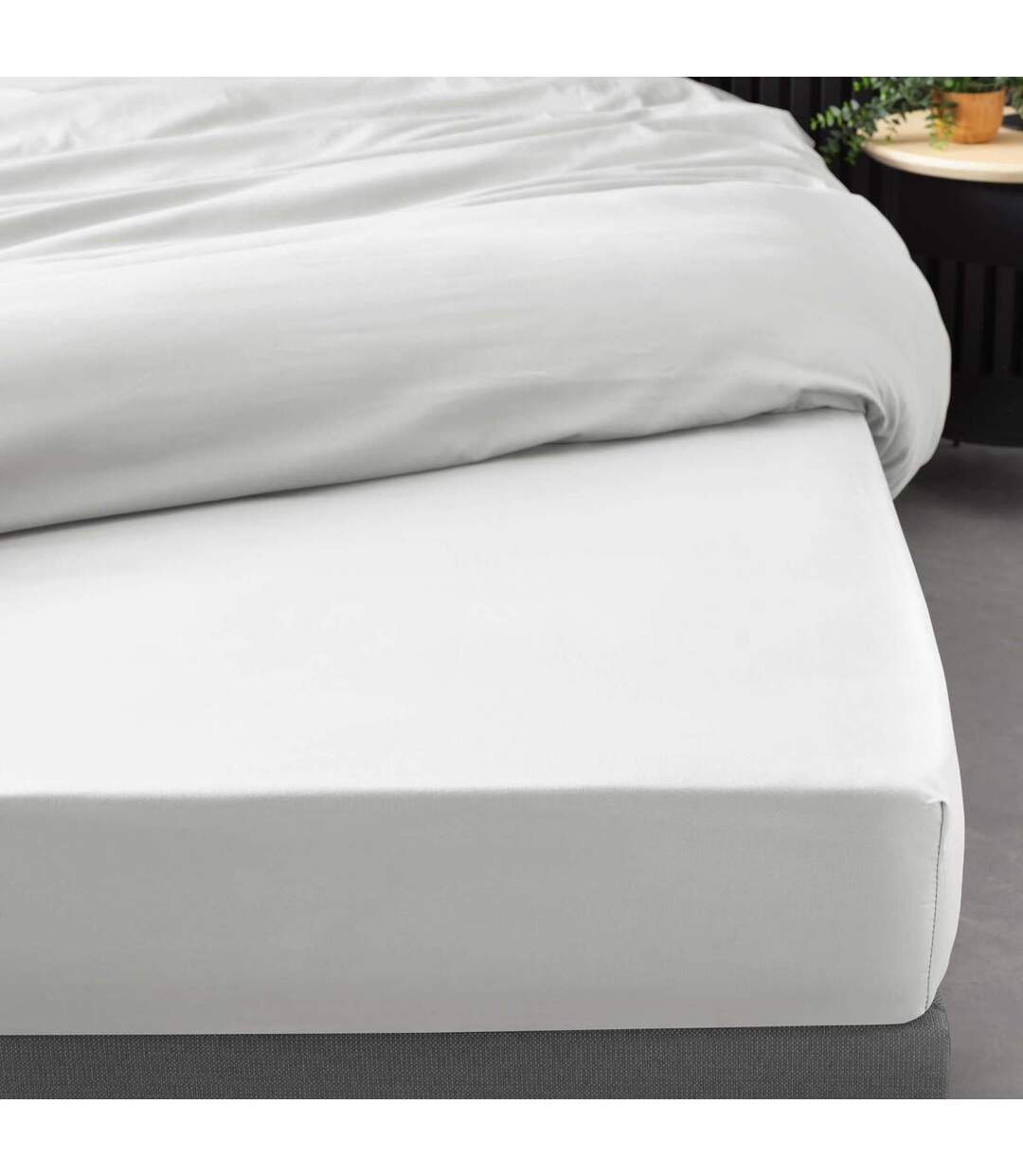 Drap Housse Percaline 180x200cm White-3