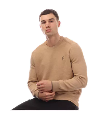 Sweat Style Tricoté Homme Brun-beige Ralph Lauren