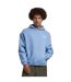 Sweat À Capuche Motif/style Duveteux Up And Beyond Homme Bleu Poudré Mister Tee-1