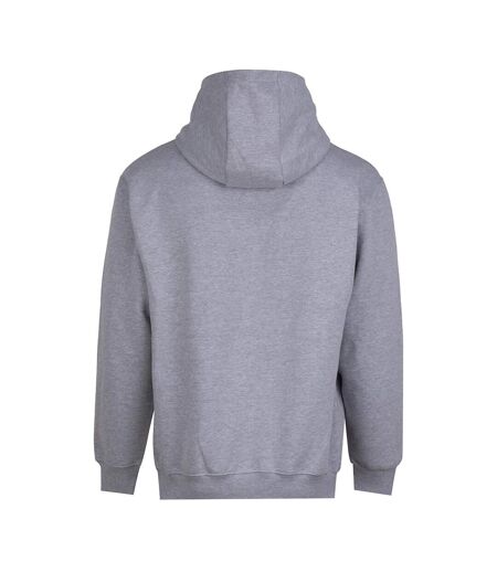 Mens Vision Heather Heavyweight Full Zip Hoodie Heather Grey Awdis