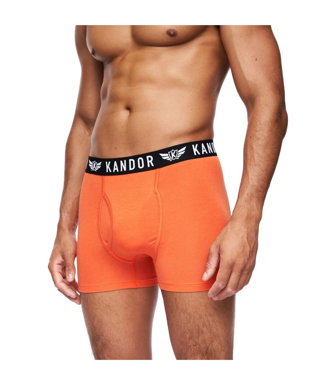 Pack of 5  Mens bambers boxer shorts  multicoloured Kandor-4