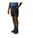 Mens Leesville Iii Shorts Black Regatta-1