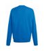 Fruit Of The Loom - Sweatshirt uni - Homme (Bleu roi) - UTRW4499