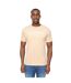 Mens pittifore t-shirt stone Duck and Cover-1
