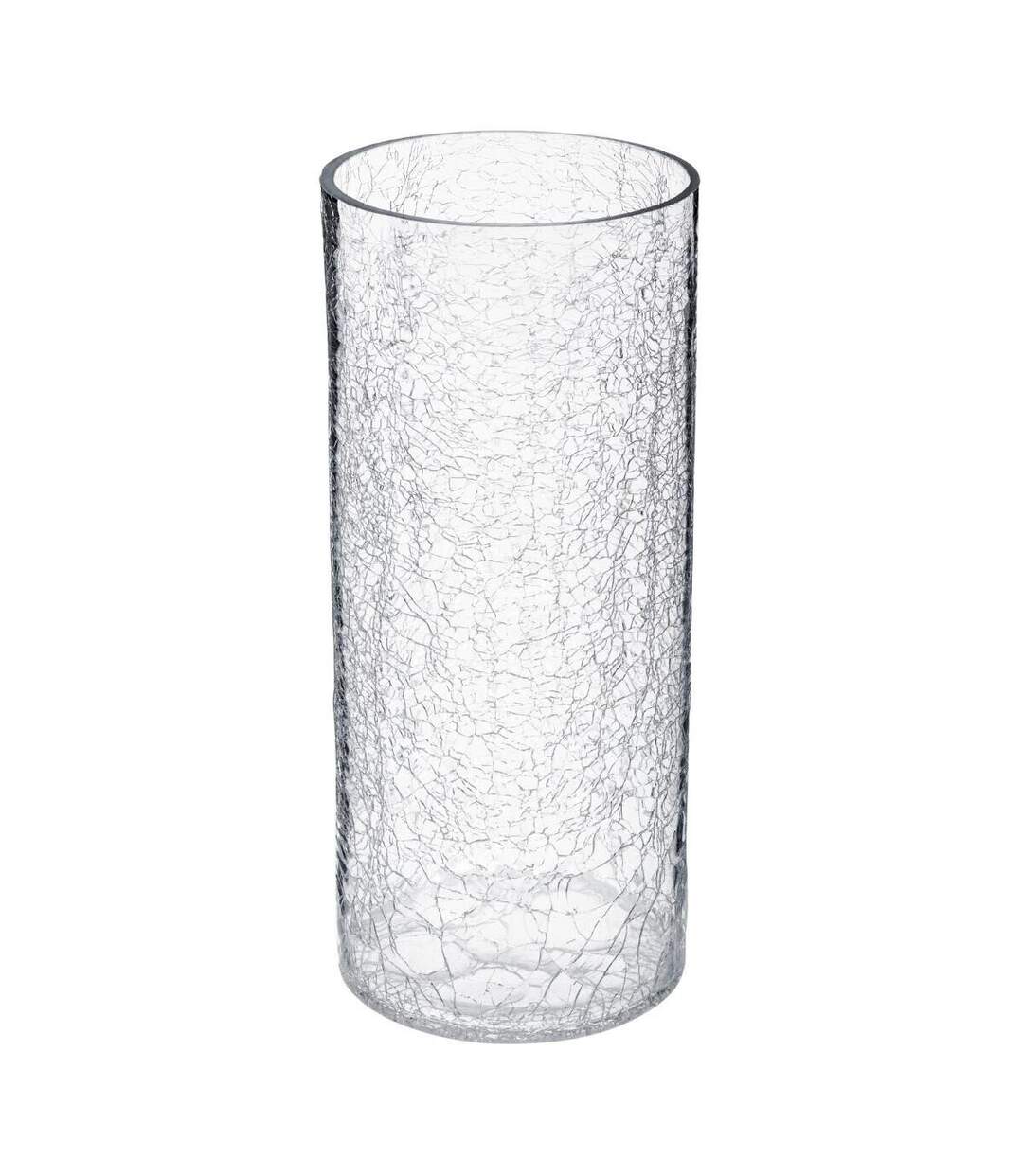 Vase en Verre Cylindrique Craq 30cm Transparent-1