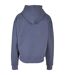 Sweat À Capuche Adulte Vieux Bleu Build Your Brand-2