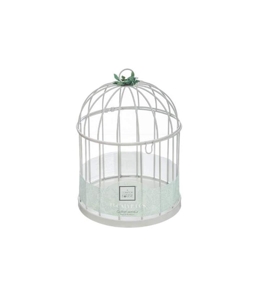 Coffret de Fragrances Cage 20cm Eucalyptus