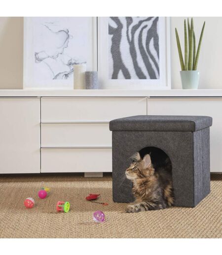 Ensemble de 6 jouets pour chat