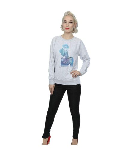 Disney Princess Womens/Ladies Cinderella Filled Silhouette Sweatshirt (Heather Grey)