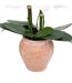 Orchidée Artificielle en Pot Dena 65cm Blanc-3