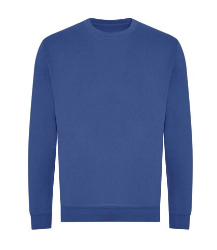 Awdis Unisex Adult Sweatshirt (Royal Blue) - UTRW7903