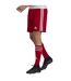 Short Squadra Homme Rouge Adidas-4