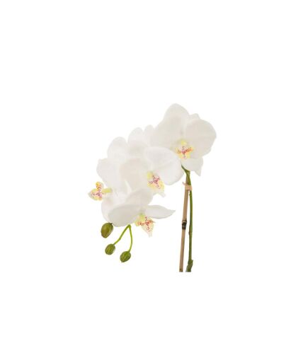 Fleur Artificielle Déco Orchidée en Terre 40cm Blanc