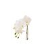 Fleur Artificielle Déco Orchidée en Terre 40cm Blanc