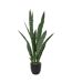 Plante Artificielle Sansevieria Toby 90cm Vert-1