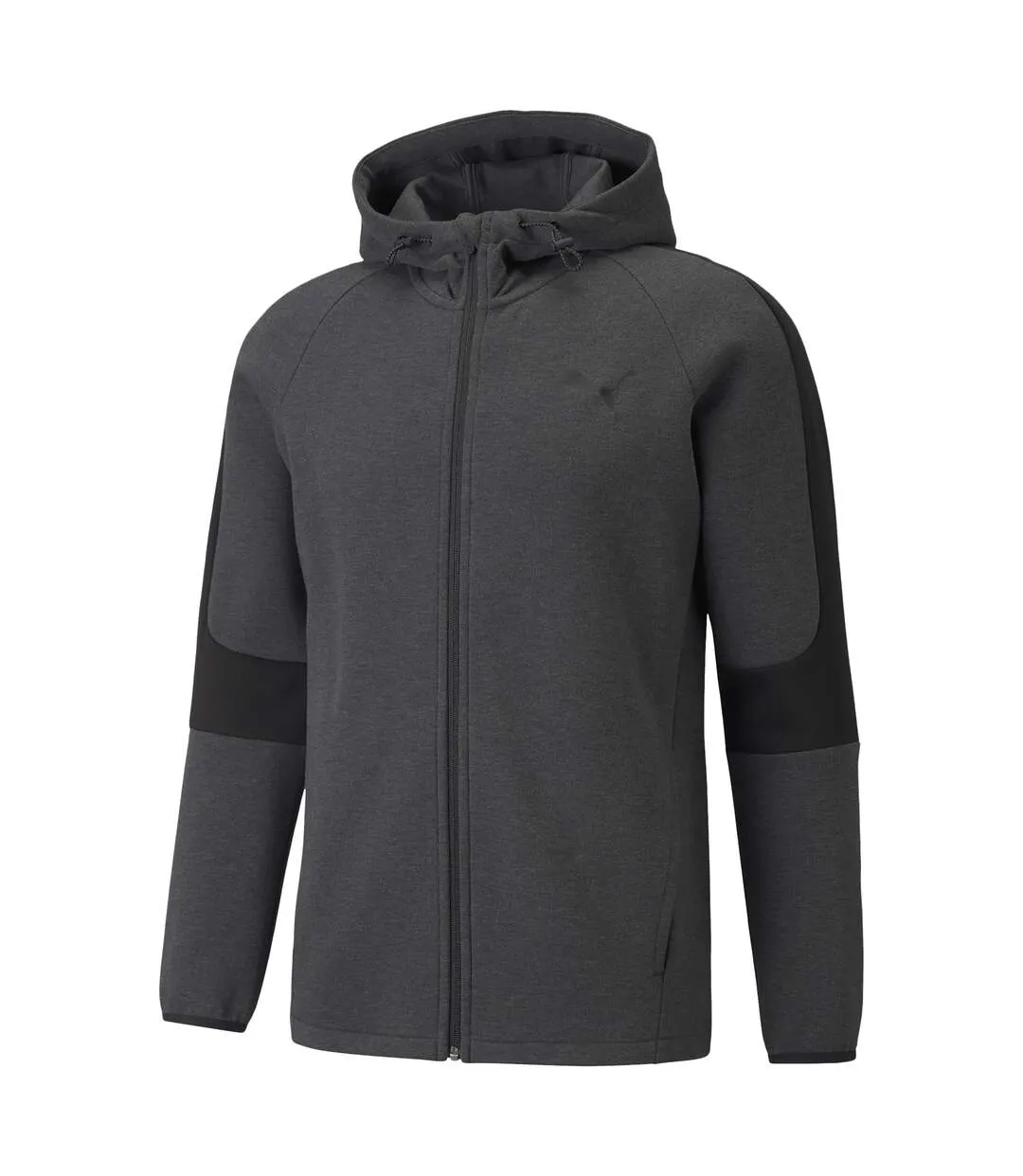 Sweat Capuche Puma Evostripe Core Fz Hoodie-1