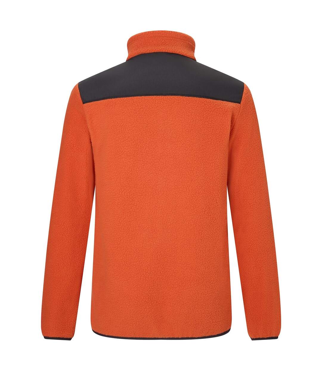 Veste Polaire Morran Homme Thé Rooibos Noir Regatta-3