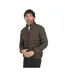 Doudoune Motif/style Matelassé Marley Homme Marron Brave Soul-1