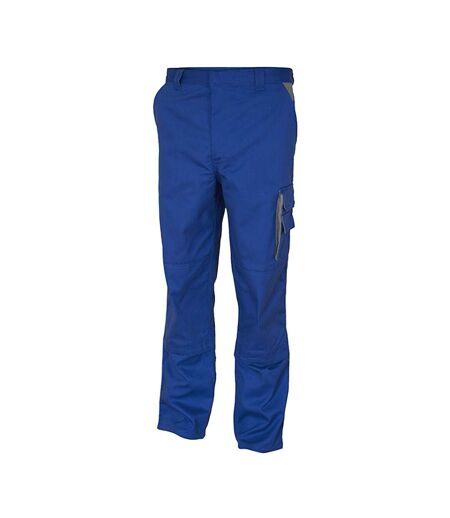 Pantalon Homme Bleu Roi Gris Carson Contrast