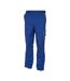 Pantalon Homme Bleu Roi Gris Carson Contrast-1