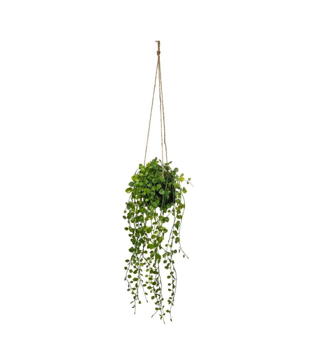 Plante Artificielle à Suspendre Living 62cm Vert-1